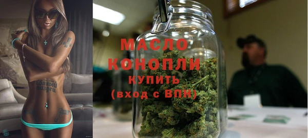 2c-b Инсар