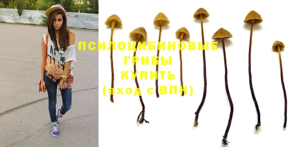 соль ск Абинск