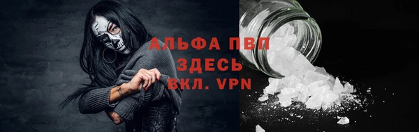 спайс Алзамай
