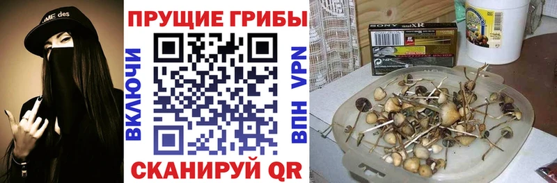 Псилоцибиновые грибы ЛСД  МЕГА ссылки  Сафоново  наркота 
